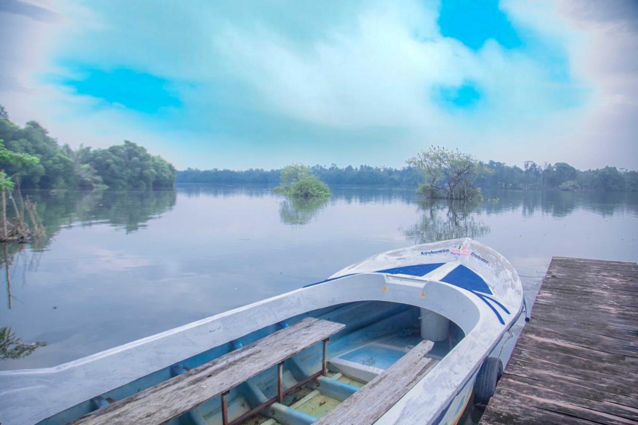 Bentota River Villa Exteriör bild