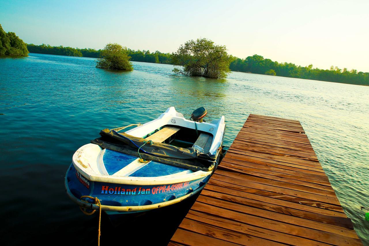 Bentota River Villa Exteriör bild